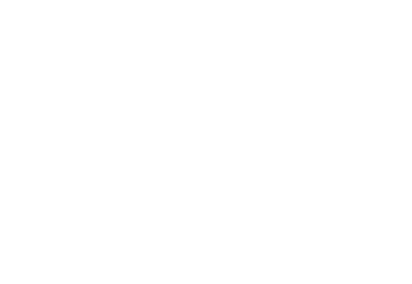Koning & Smith